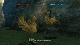 chocobo3